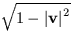 $\sqrt{1-\left\vert\mbox{\bf v}\right\vert^2}$