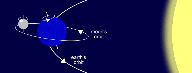 orbits